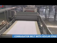cinghia dell'ondulatore con il bordo del Kevlar
