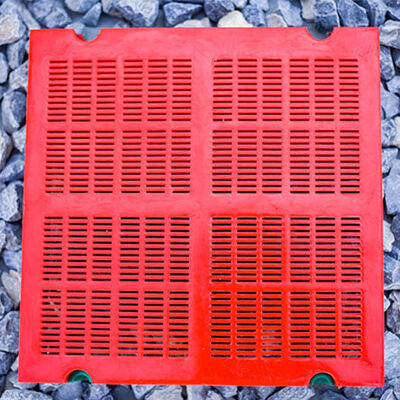 Nuova rete di schermo per miniere di carbone ad alta elasticità Vibrating Polyurethane Pu Screen Linear Type con garanzia di 6 mesi