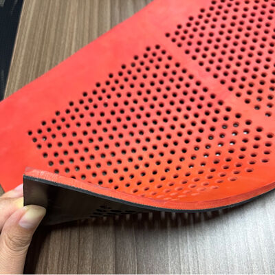 1.25m di larghezza, resistente all'usura, pannello di gomma importato con fori rotondi da 4 a 12 mm