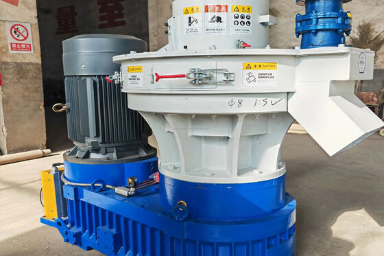 Bricchettatrice a biomassa a basso rumore da 22 kW per il riscaldamento scolastico