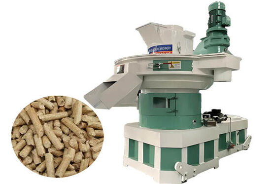 Pressa per bricchette a biomassa da 250-350 kg/h per fondi di caffè