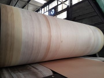 Durevolezza della cinghia dell'ondulatore del bordo di Aramid l'alta per BHS, FOSBER, MARQUIP ha ondulato la linea